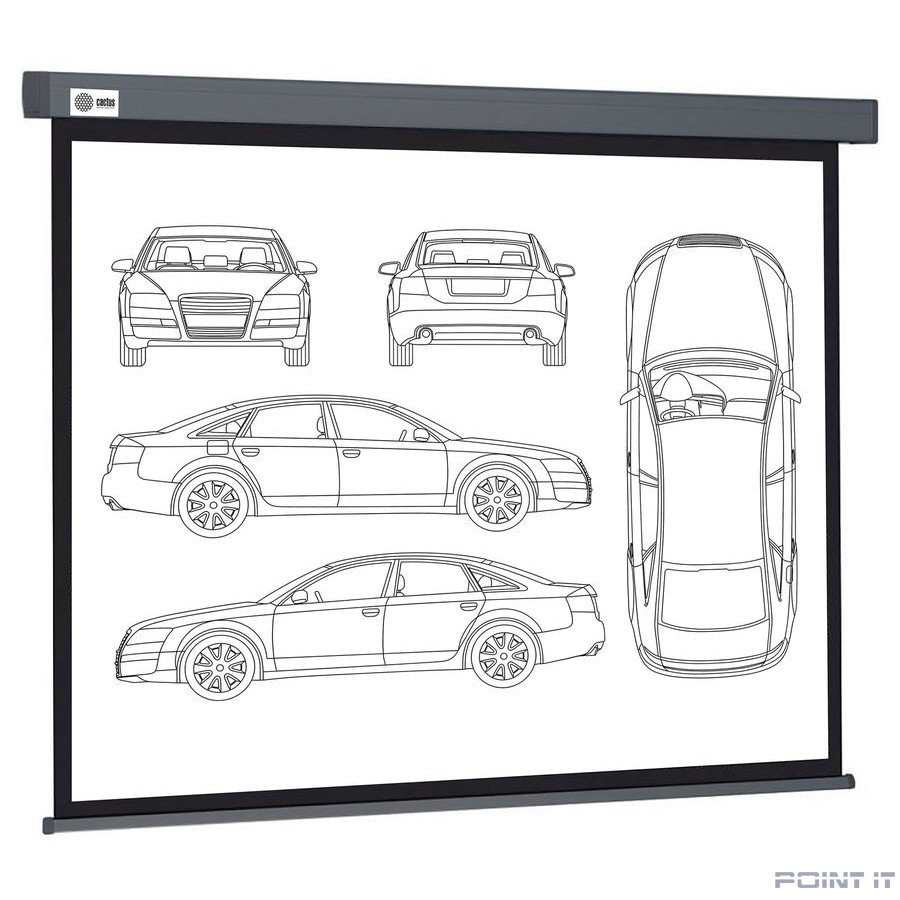 Экран Cactus Wallscreen CS-PSW-168X299-SG, 299х168 см, 16:9, настенно-потолочный серый